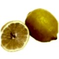 Limon Fidanı