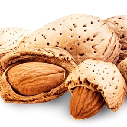 Badem Fidanı  İri Kaliteli Amygdalus Communis