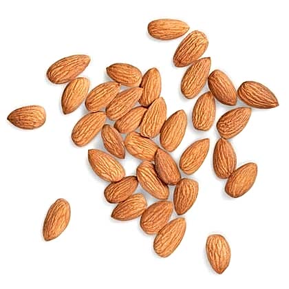 Badem Fidanı  İri Kaliteli Amygdalus Communis