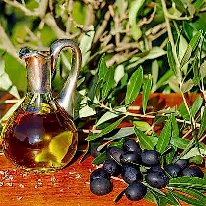 Tekir Zeytin Fidanı 60 cm
