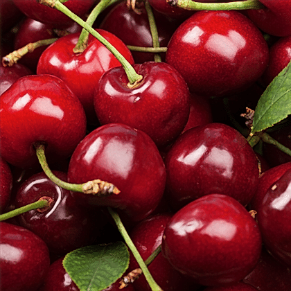 Kiraz Fidanı Napolyon 0900 Prunus Avium