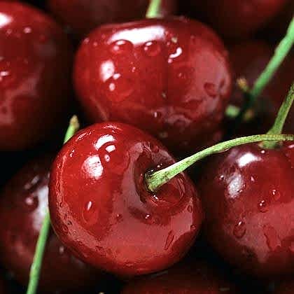 Kiraz Fidanı Napolyon 0900 Prunus Avium
