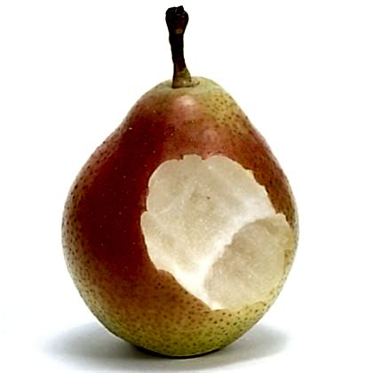 Etruşka Armut Fidanı