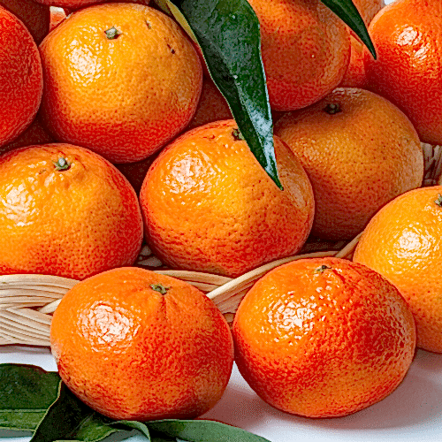 Nova Mandalina Fidanı 80 cm