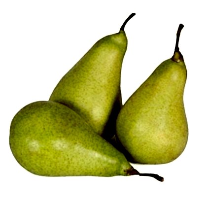Limon Armut Fidanı
