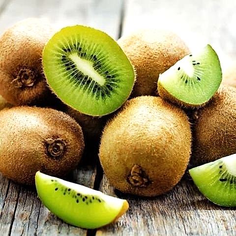 Aşılı Kivi Fidanı