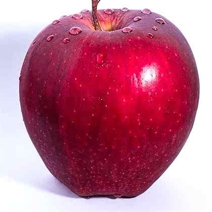 Scarlet Spur Elma Fidanı