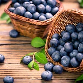 Oneal Blueberry Yaban Mersini 15 cm  Fidanı Likapa Maviyemiş