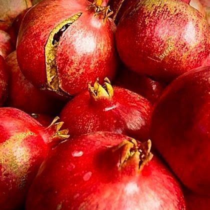 Çekirdeksiz Nar Fidanı