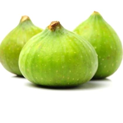Beyaz Orak İncir Fidanı Ficus Carica