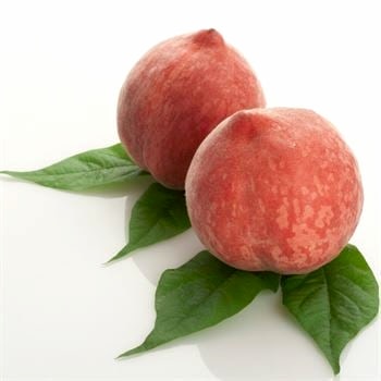 Red Elegant Şeftali Fidanı