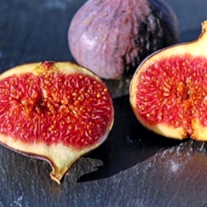 Sertifikalı Bursa Siyahı İncir Fidanı