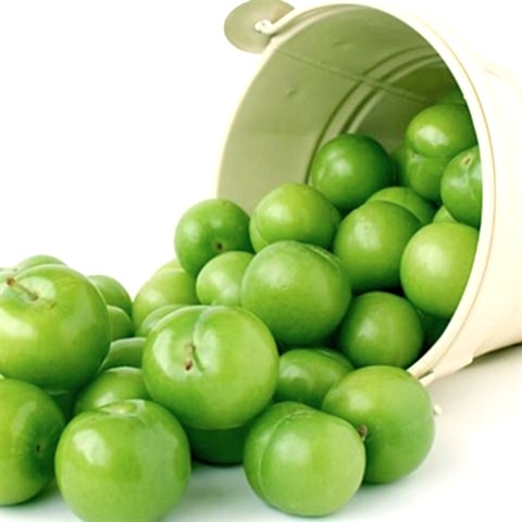 Papaz Eriği Fidanı Erik