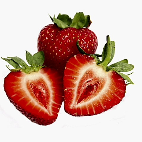 Aromas Çilek Fidesi 10 Adet