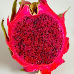 Ejder Meyvesi Fidanı Pitaya  Hylocereus