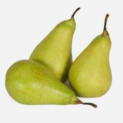 Limon Armut Fidanı
